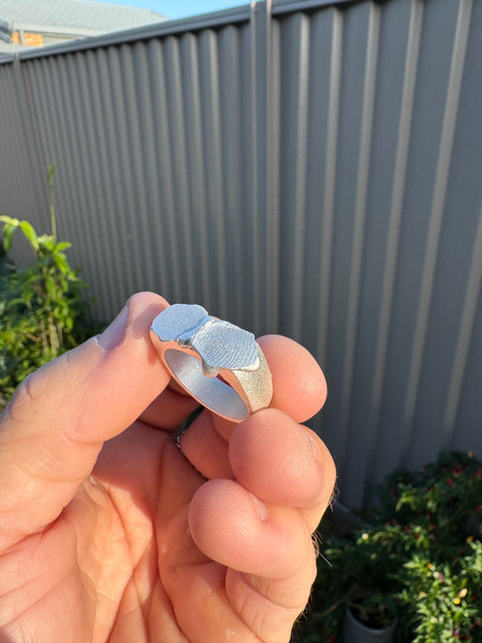 Fingerprint Ring