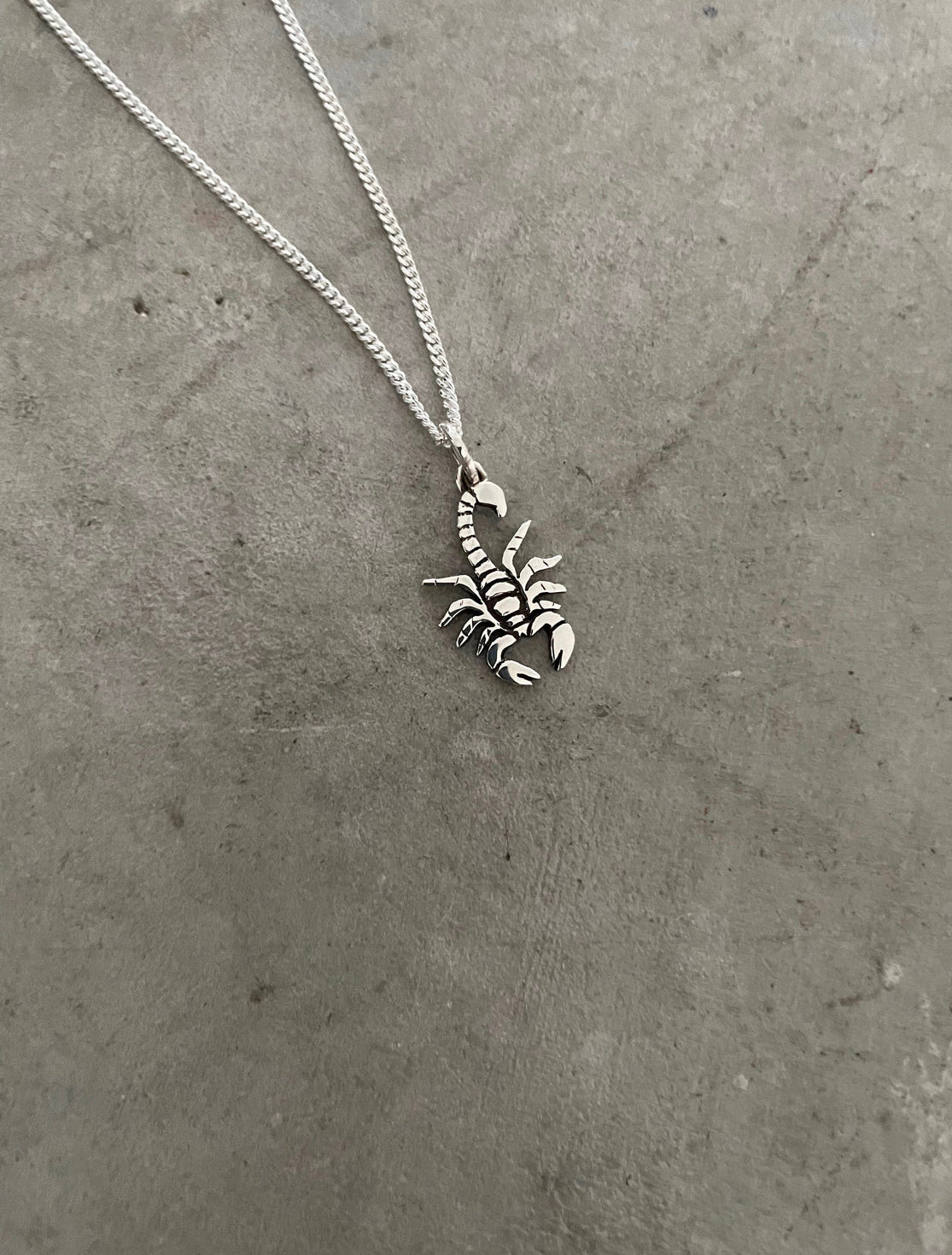 Ready to Ship - Scorpion Necklace