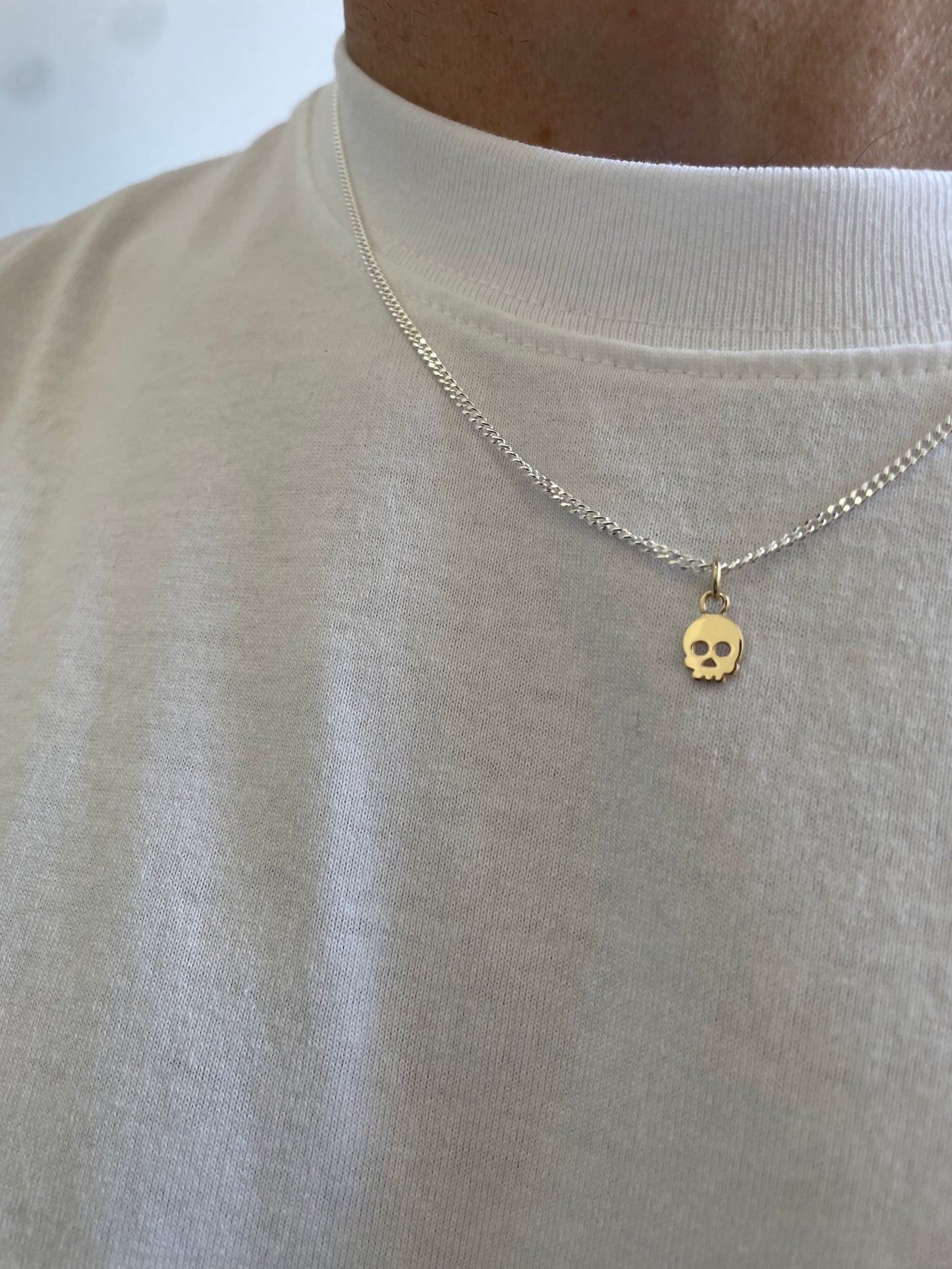 Gold Skull Pendant and Silver Chain